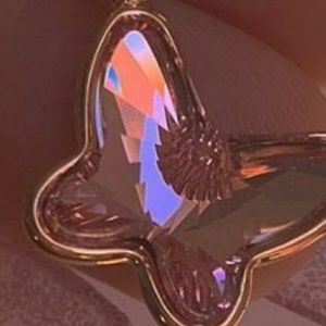 Meet your Posher, Chelsea